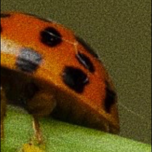 Meet your Posher, Brooke - Picture 1 of 1